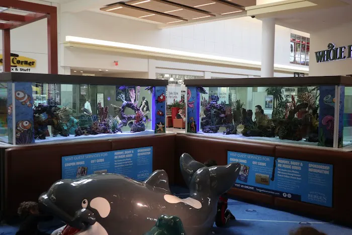 Beital's Aquariums Sales, Services & Ponds Picture 10