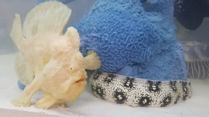Beital's Aquariums Sales, Services & Ponds Picture 9