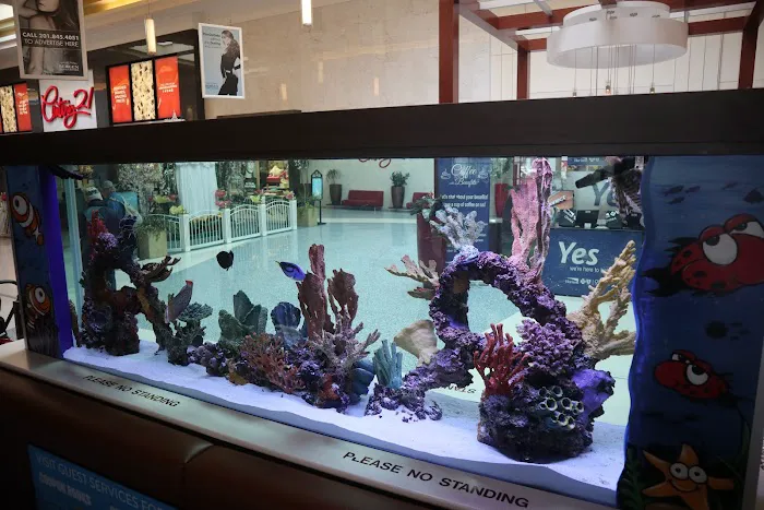 Beital's Aquariums Sales, Services & Ponds Picture 3