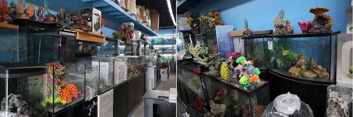 Beital's Aquariums Sales, Services & Ponds Picture 5