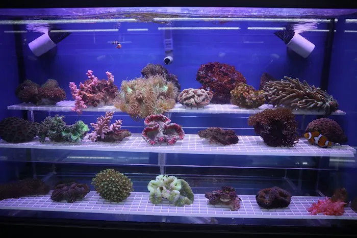 Beital's Aquariums Sales, Services & Ponds Picture 6
