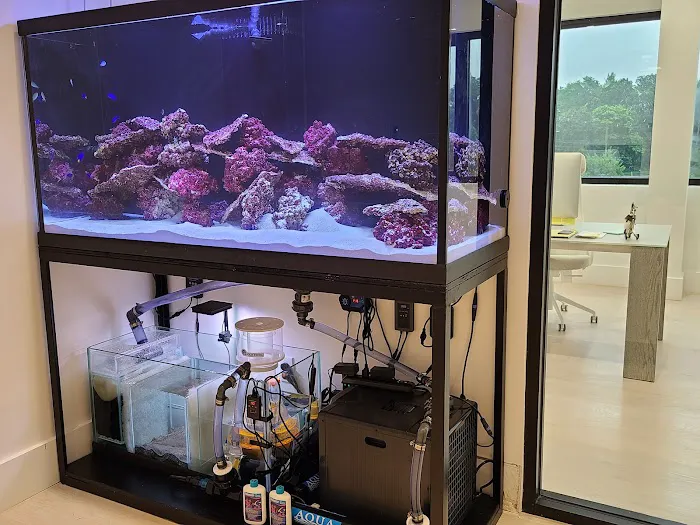 Beital's Aquariums Sales, Services & Ponds Picture 7