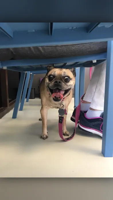 Happy Tails Animal Hospital Picture 8