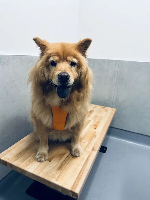 Happy Tails Animal Hospital Picture 5