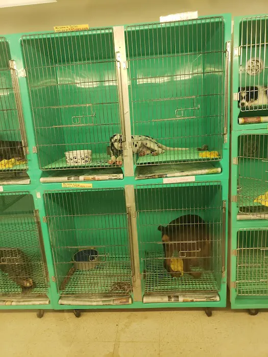 Pet Palace Inc Picture 5