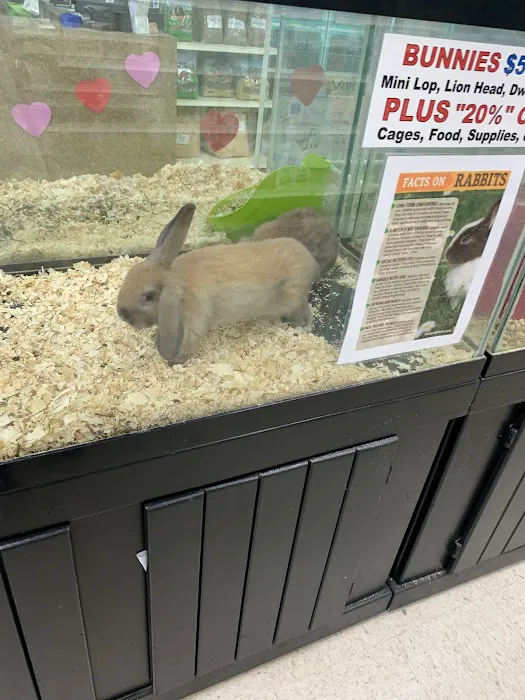 Pet Palace Inc Picture 8