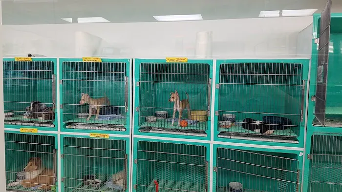 Pet Palace Inc Picture 2