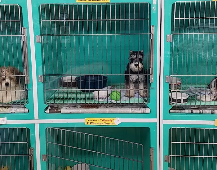 Pet Palace Inc Picture 1