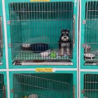 Pet Palace Inc ico