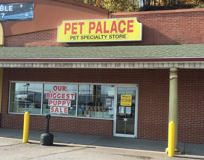 Pet Palace Inc Picture 10