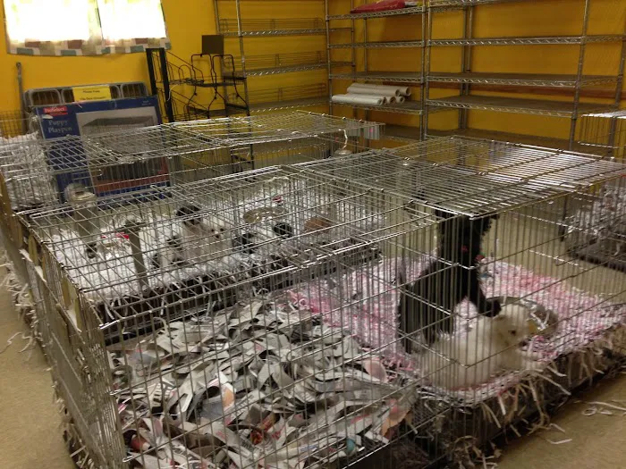 Pet Palace of New City Picture 6