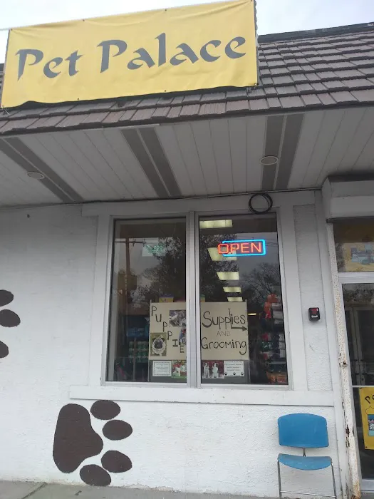 Pet Palace of New City Picture 4
