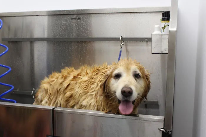 Seal Beach Animal Hospital Picture 1