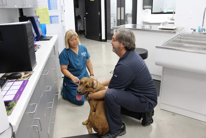 Seal Beach Animal Hospital Picture 6