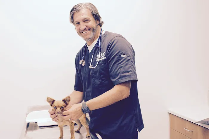 Seal Beach Animal Hospital Picture 8