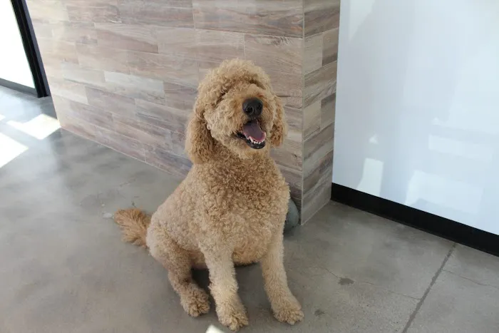Seal Beach Animal Hospital Picture 10