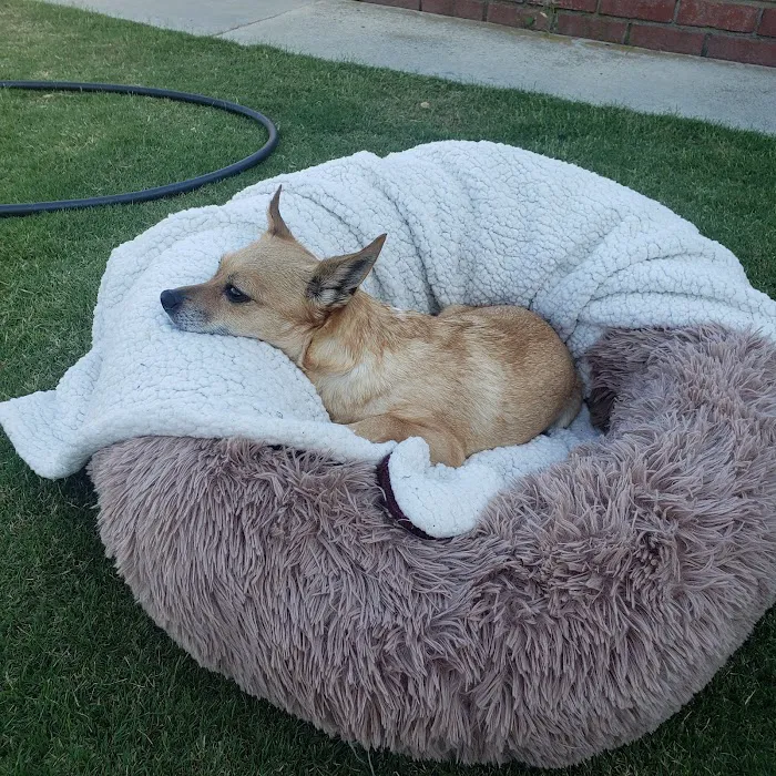 Los Alamitos Animal Hospital Picture 5