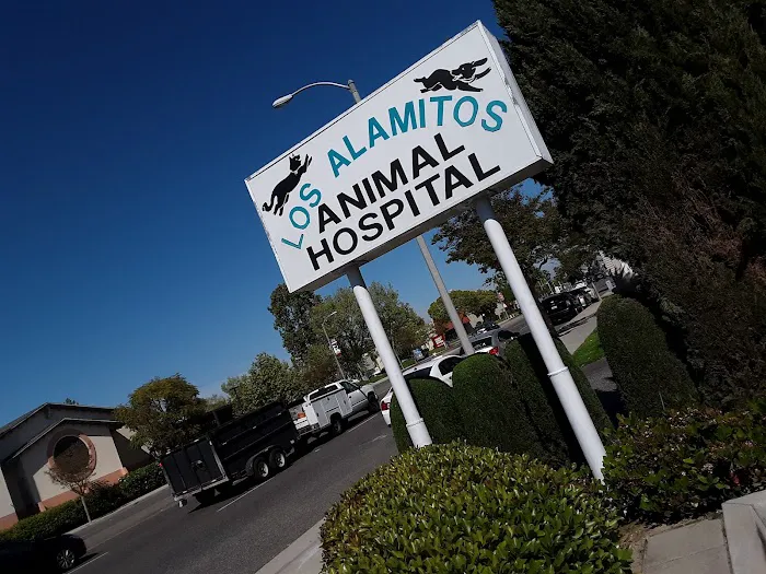 Los Alamitos Animal Hospital Picture 3