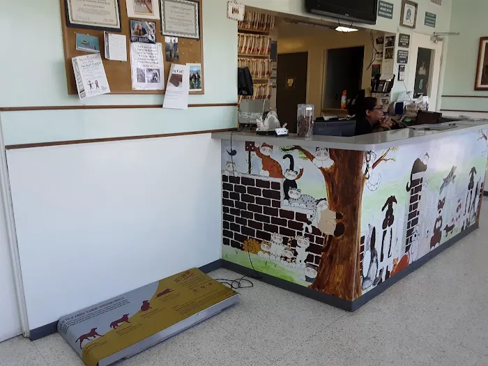 Los Alamitos Animal Hospital Picture 1