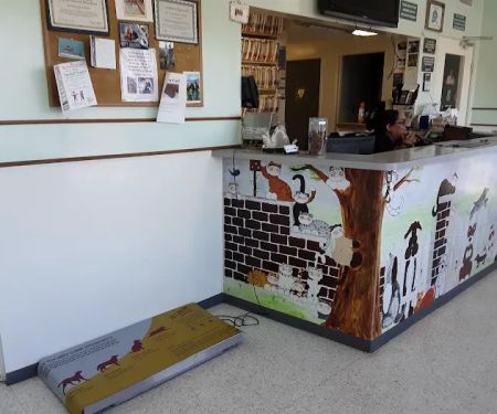 Los Alamitos Animal Hospital
