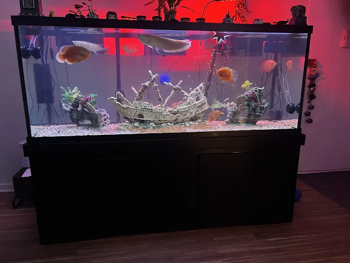 Rockland Aquarium Picture 4