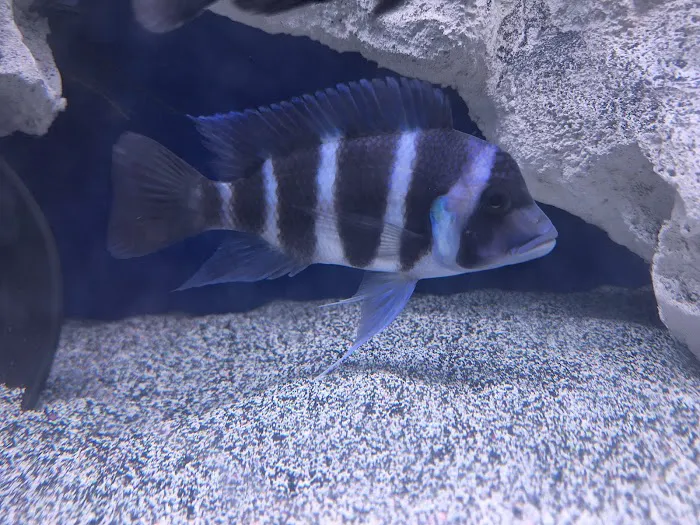 Rockland Aquarium Picture 3