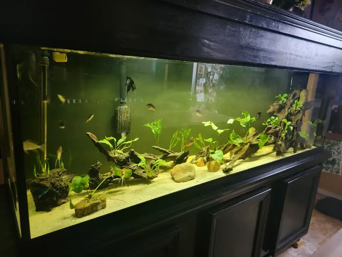 Rockland Aquarium Picture 2