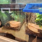 Banfield Pet Hospital