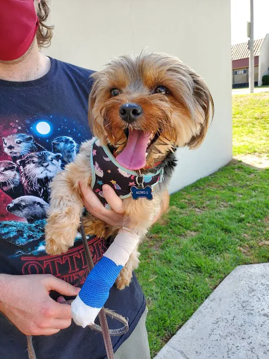Anaheim Animal Care & Pet Hospital Picture 5