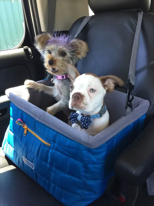 Anaheim Animal Care & Pet Hospital Picture 1