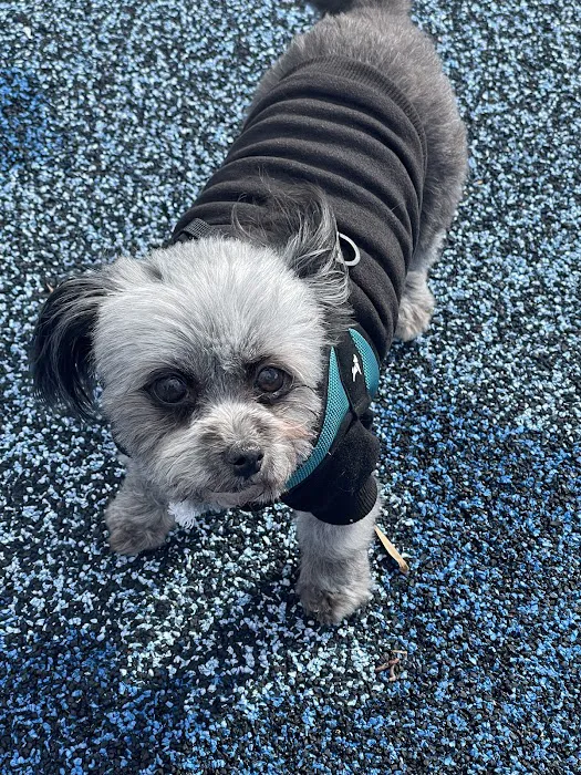 Anaheim Animal Care & Pet Hospital Picture 4