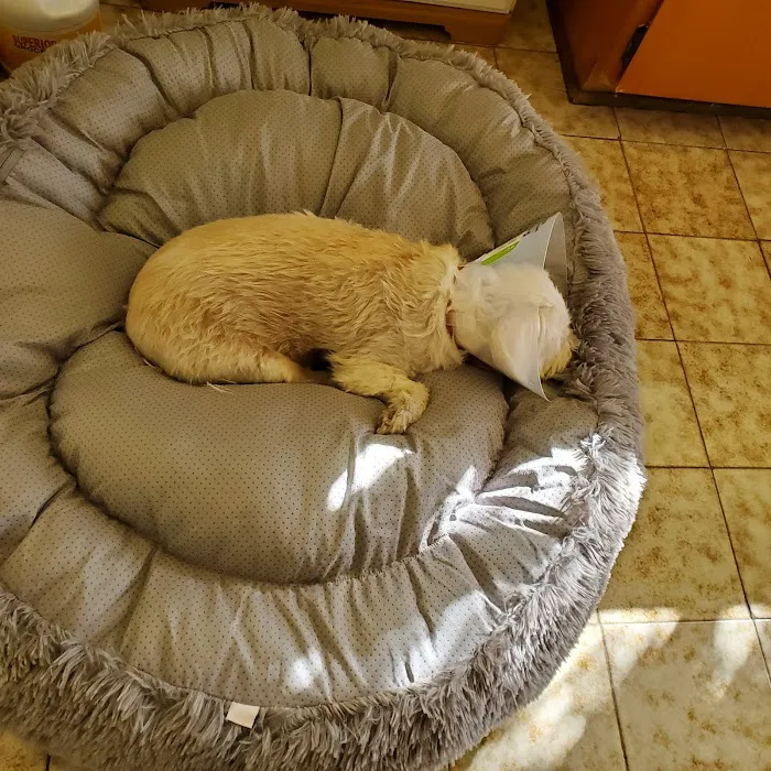 Anaheim Animal Care & Pet Hospital Picture 3