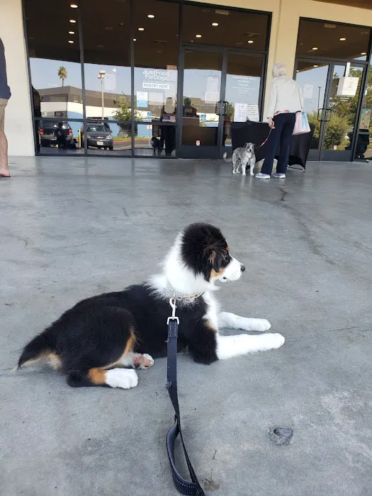 Anaheim Animal Care & Pet Hospital Picture 9