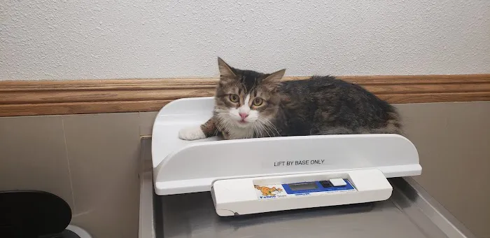 The Animal Doctors of Anaheim (Formerly La Palma Veterinary Hospital) Picture 5