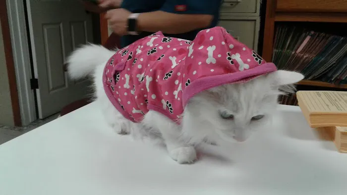 The Animal Doctors of Anaheim (Formerly La Palma Veterinary Hospital) Picture 6