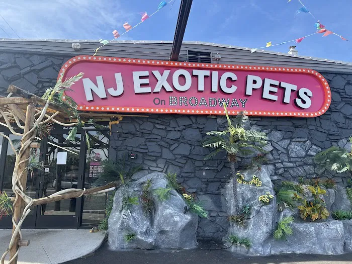NJ Exotic Pets Picture 1
