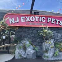 NJ Exotic Pets ico
