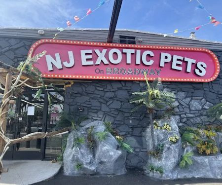 NJ Exotic Pets