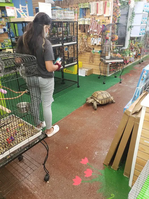NJ Exotic Pets Picture 2