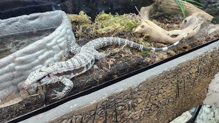 NJ Exotic Pets Picture 3