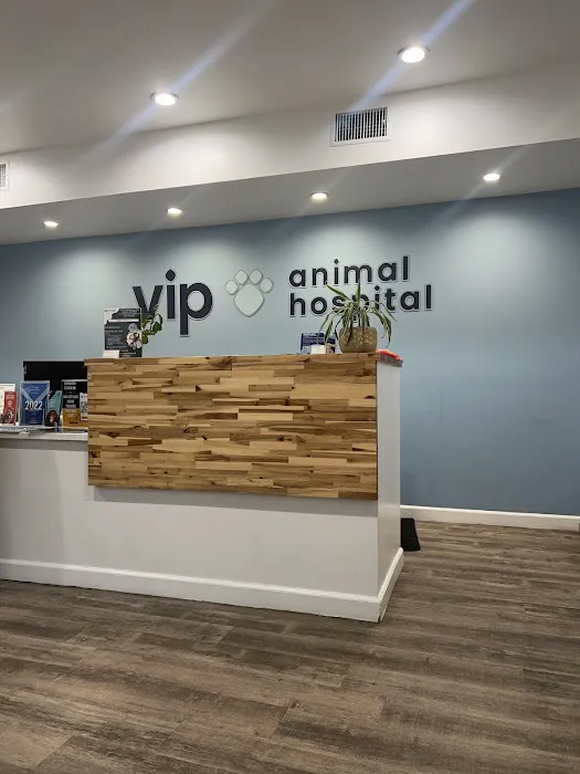 VIP Animal Hospital Picture 5
