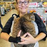 Vetco Vaccination Clinic