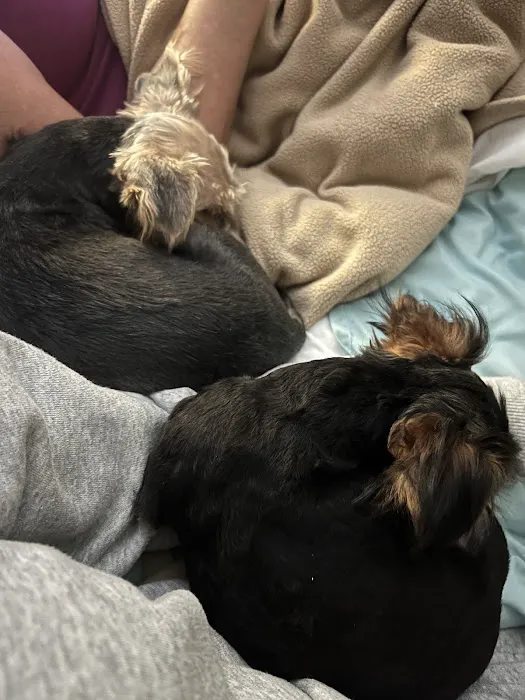 D and G pups Picture 9
