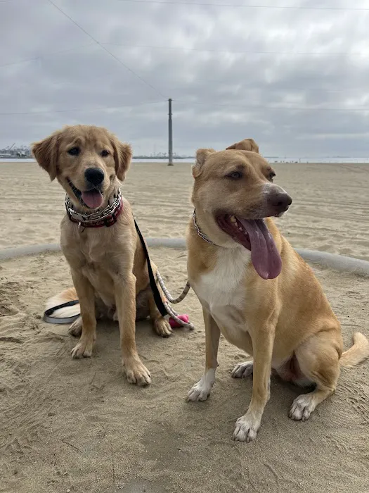 Golden Pet Rx Pharmacy Picture 3