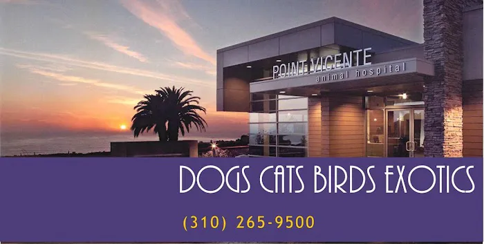 Point Vicente Animal Hospital Picture 6