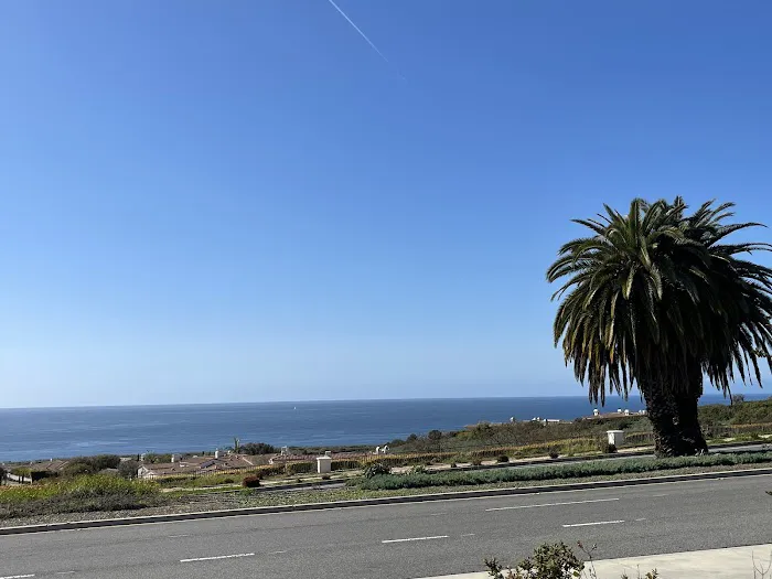 Point Vicente Animal Hospital Picture 5
