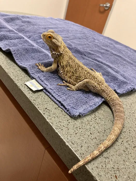 Point Vicente Animal Hospital Picture 9