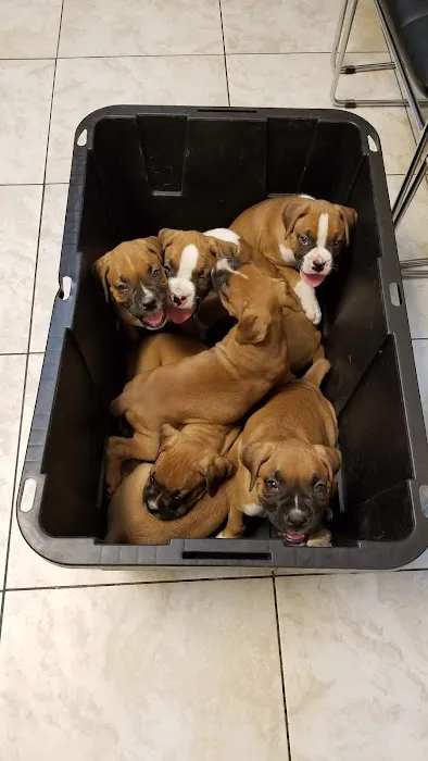 Azusa Animal Hospital Picture 7