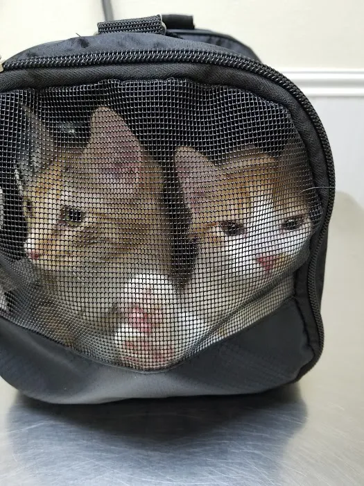Azusa Animal Hospital Picture 9