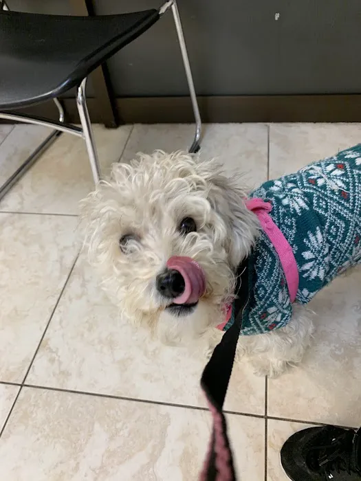 Azusa Animal Hospital Picture 6